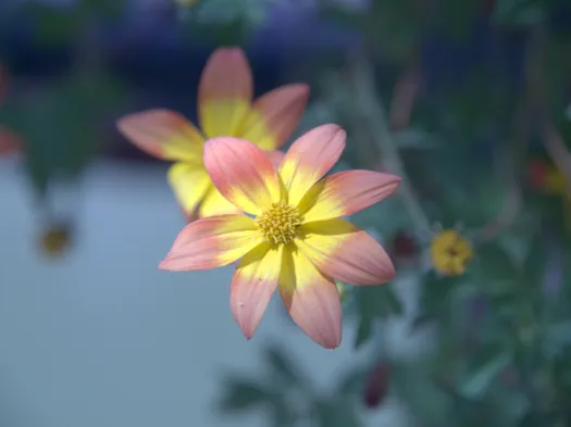 Mulhouse, Alsace (France)